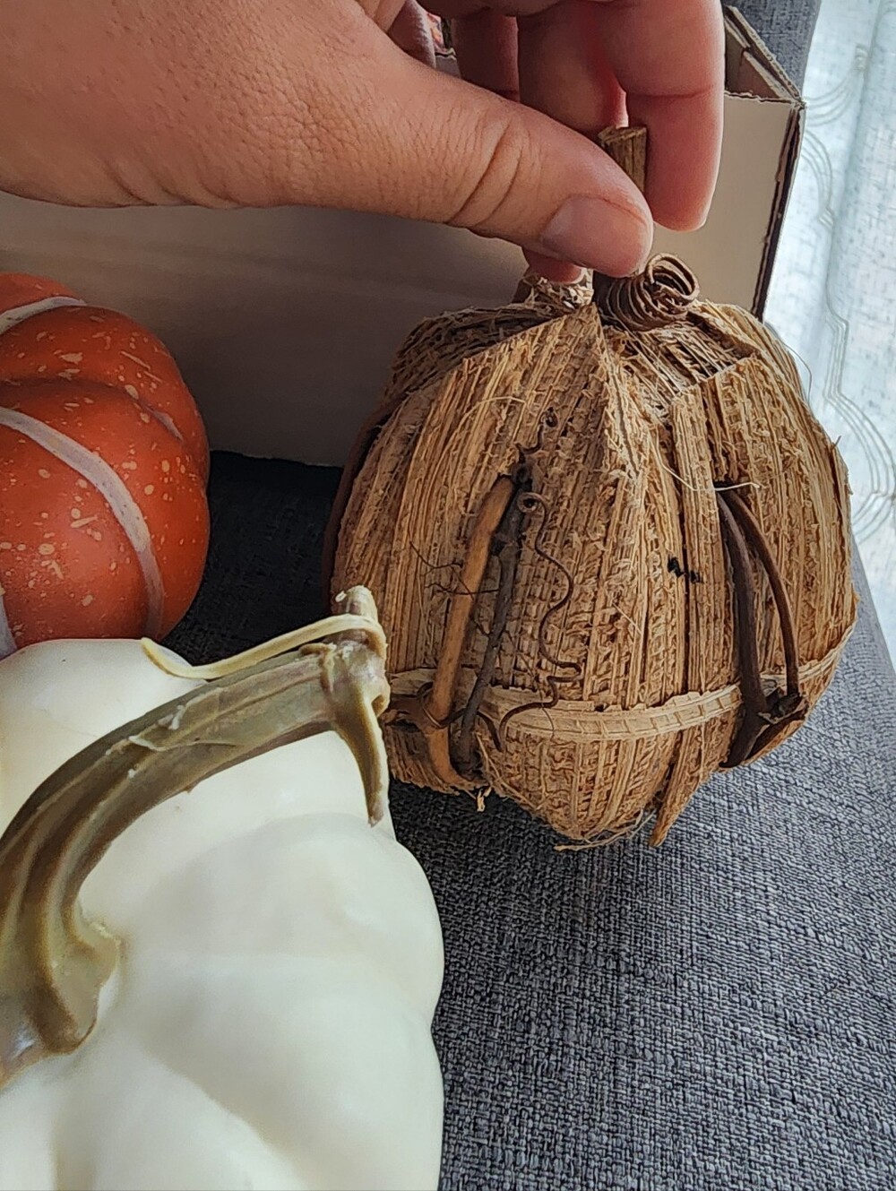 Assorted Mini Pumpkins - Picture 4 of 11